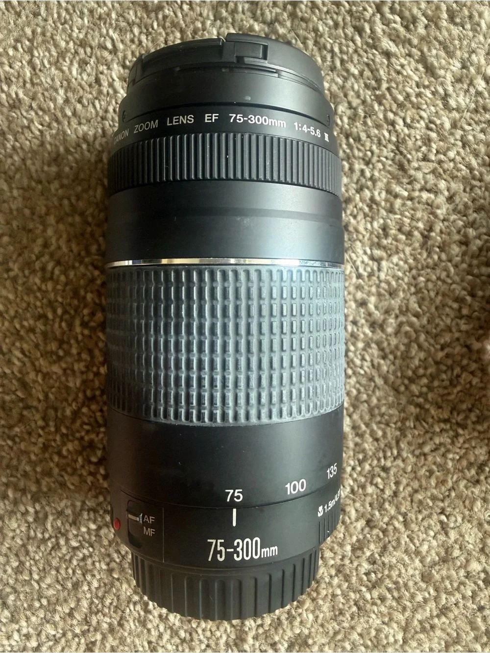 Canon EOS Rebel T6 Camera Kit